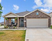 1511 Fields View  Drive, Anna image