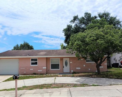 7337 Donegal Street, New Port Richey