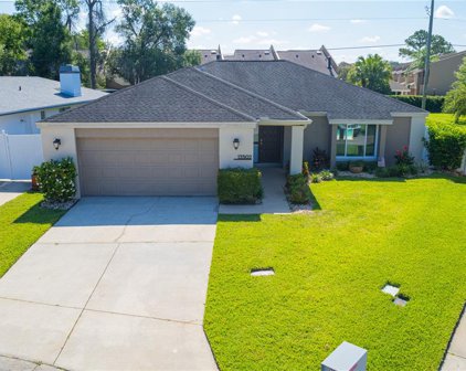 13502 Clubside Drive, Tampa