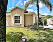 2042 Braxton Street, Clermont image