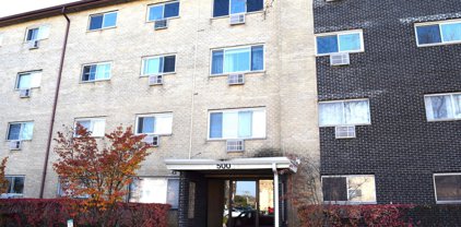 500 E Dogwood Lane Unit #408, Mount Prospect