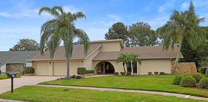 3119 Hyde Park Drive, Clearwater
