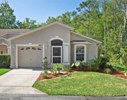 12430 Cinnamon Lane, Hudson image