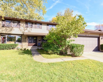 1624 E Crabtree Drive, Arlington Heights