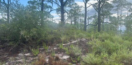 106 Anglers Rd, Carrabelle