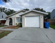 4903 Traskwood Court, Tampa image