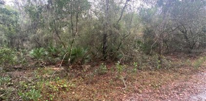 4225 S Tamarak Point, Inverness
