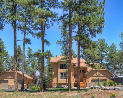 1421 Eagle Trace Court, Woodland Park