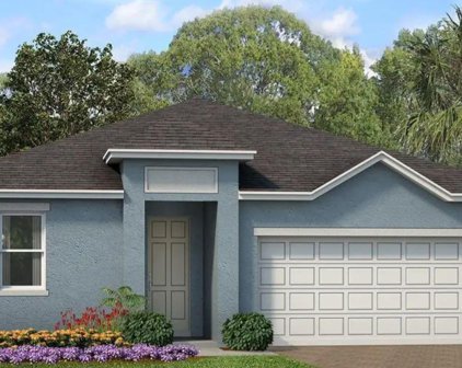 522 Feltrim Manor Road, Haines City
