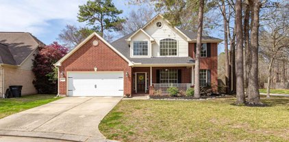 4731 Rolling View Court, Kingwood