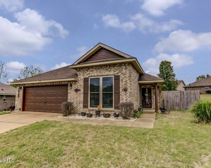 8705 Hanson Cove, Southaven