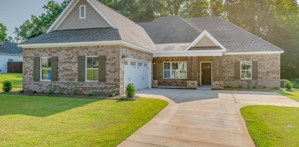 615 Charleston Mills Drive, Midland City