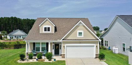 518 Joy Way Ct., Longs