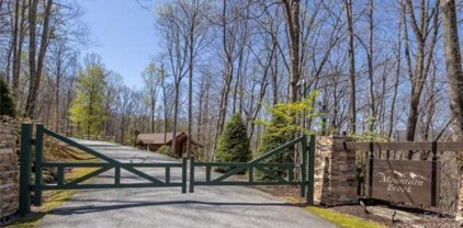 00 Rainbow Trout  Drive Unit #2, Spruce Pine