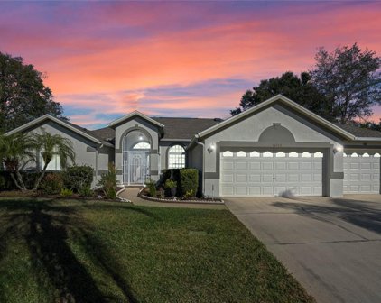 14340 Pine Cone Trail, Clermont