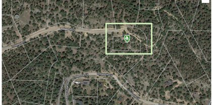 32584 Lodgepole Drive, Evergreen