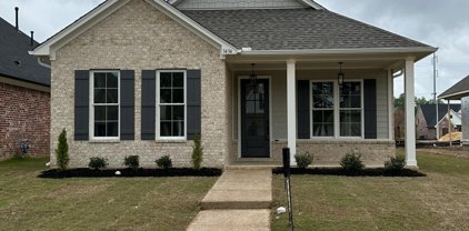 3434 Hatton Drive, Nesbit