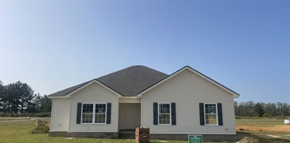 Fescue Drive, Statesboro