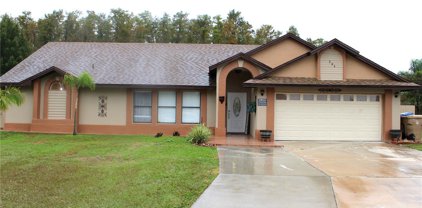 204 Red Maple Dr, Kissimmee