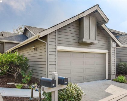 147 Purcell Dr, Alameda