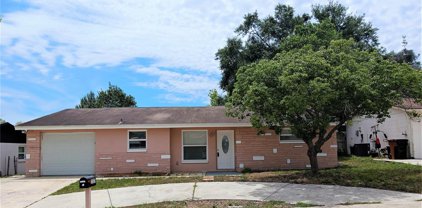 7337 Donegal Street, New Port Richey