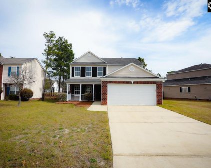 112 Brittany Park Road, Columbia