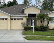 10937 Rain Hollow Court, Trinity image