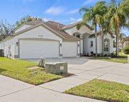 27750 Grove Point Court, Wesley Chapel image