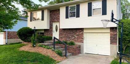 7411 Autumn Bent Way, Crestwood