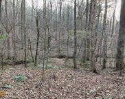 Smithonia, Winterville image
