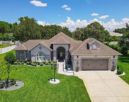 12137 Padron Boulevard, Spring Hill image