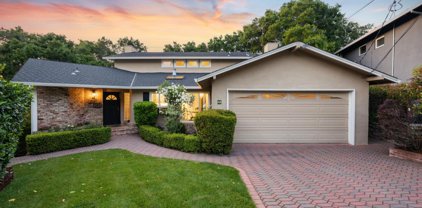 55 Treetop LN, San Mateo