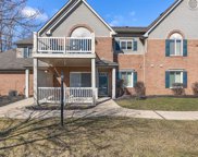 446 Marigold, Westland image