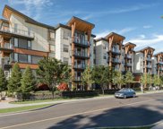 12109 223 Street Unit 425, Maple Ridge image