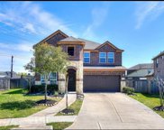 1805 Dry Willow Court, Pearland image