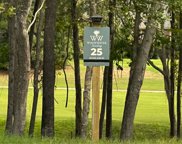 1037 Refuge Place Unit #Lot 25, Chapin image