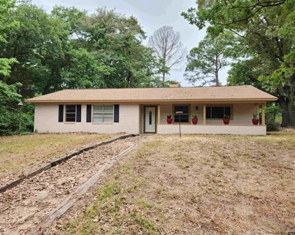 1511 CR 2425, Mineola