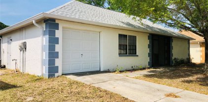 1301 Mandarin Drive, Holiday