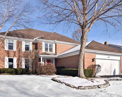 4219 N Walnut Avenue, Arlington Heights