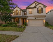 19211 Verdant Pasture Way, Tampa image