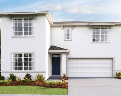 33552 Elm Hill Branch, Wesley Chapel