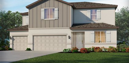 14043 Ginnie Springs Way, Parrish