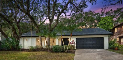 60 Bay Woods Drive, Safety Harbor