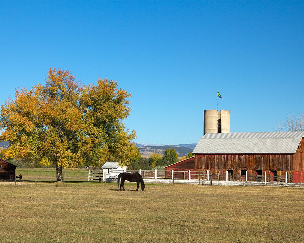Niwot Real Estate