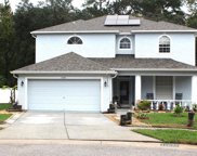 15622 Heartleaf Court, Land O' Lakes image