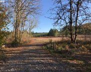 NE 217th AVE, Brush Prairie image