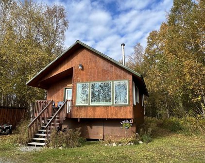 11552 Remote Lane, Willow