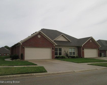 232 Twin Spring Ct, Shelbyville
