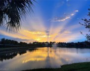 20034 Parrot Key  Court, Estero image