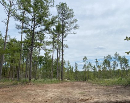 24633 Lot 27 Fm 844, Huntington